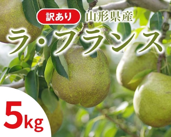 【訳あり】ラ・フランス 約5kg(玉数おまかせ)【出荷時期】11月中旬~12月中旬