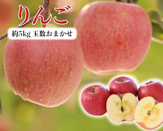 【訳あり】サンふじりんご 約5kg(玉数おまかせ)【出荷時期】10月下旬~