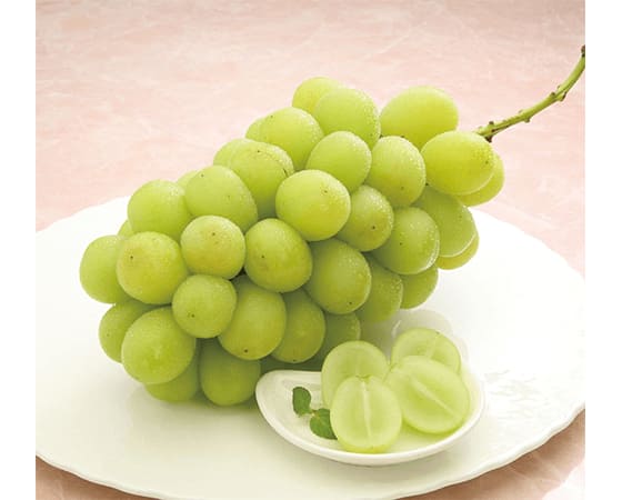 【予約】シャインマスカット 約700g×2房 ※出荷時期:9月中旬~10月上旬