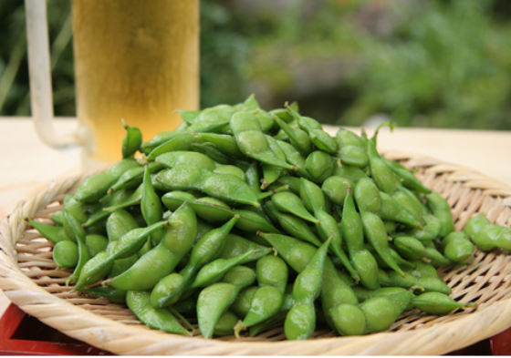 【予約・訳あり品】 庄内 だだちゃ豆 品 約500g×2 ※出荷時期:8月下旬~9月初旬