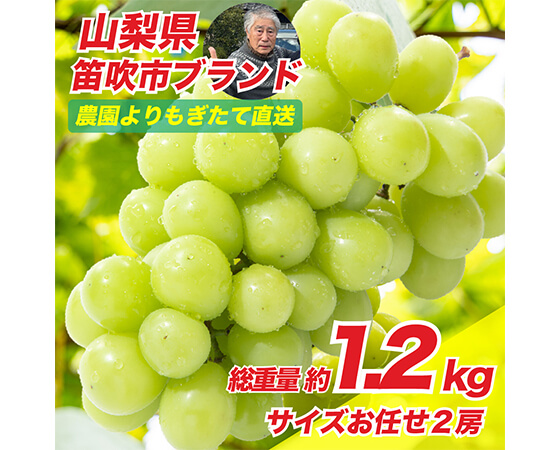 【予約】山梨県笛吹市産!シャインマスカット 500g~700g×2房