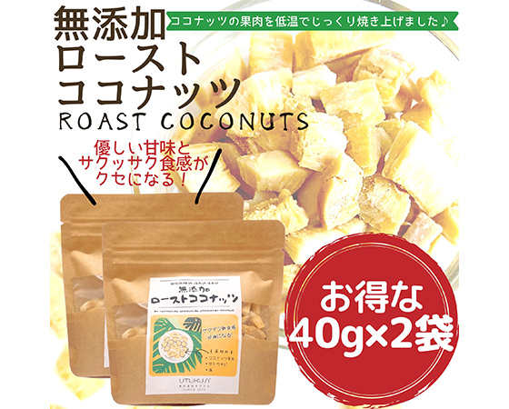 無添加ローストココナッツ80g(40g×2袋)