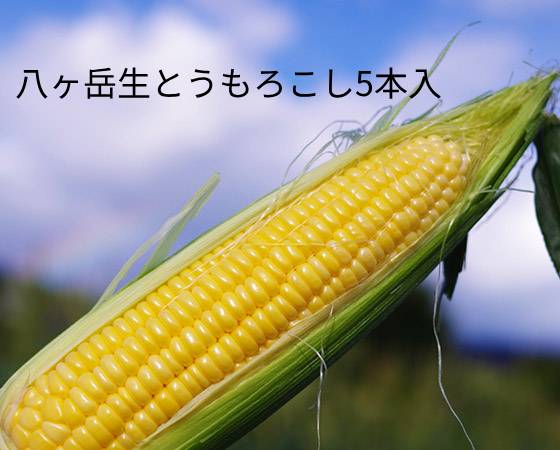 ハマラノーエン 八ヶ岳生とうもろこし5本入(プレミアムウォーター専用セット) ※出荷時期:7月下旬~8月末
