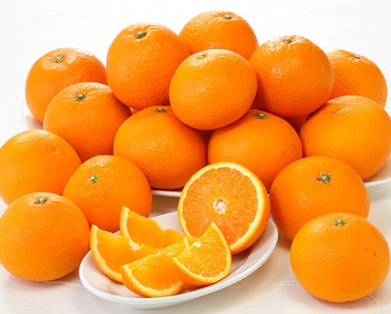 【予約】木熟清見オレンジ 3kg(12~19個) ※出荷時期:3月中旬~3月下旬