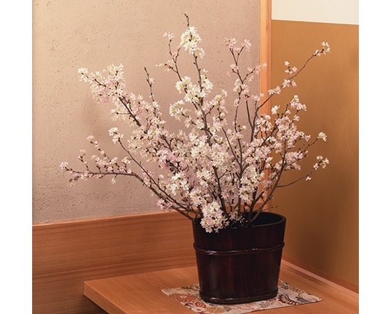 【予約】みちのく初桜(山形県・青森県) 約80㎝×7本 お届け期間:12月下旬