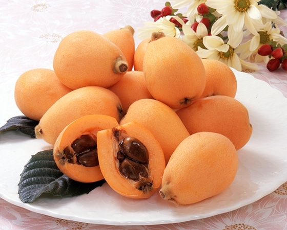 【予約】ハウスびわ(長崎県) 450g(9~12玉) お届け期間:4月上旬~中旬