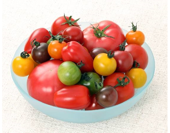 【予約】サンシャイントマト 1.5kg 出荷時期:5月上旬~5月下旬