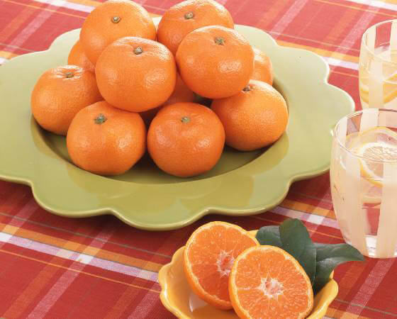 【予約】天下糖一 4.5kg ※出荷時期:1月下旬~2月中旬