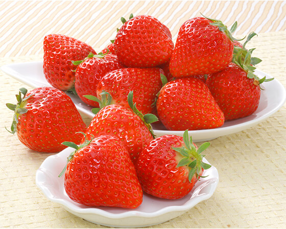 【予約】さぬきひめ 750g(24~36個) いちご ※出荷時期:1月中旬~1月下旬