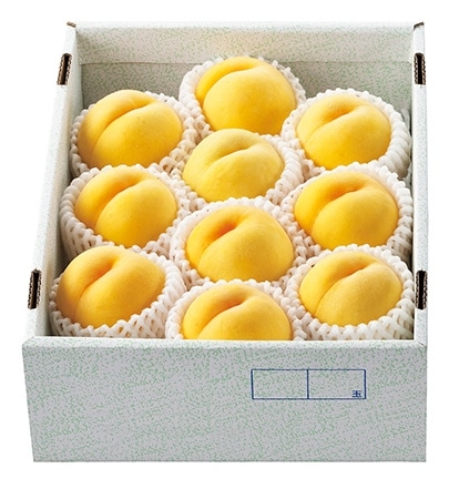 山形県産 黄桃 約3kg(中玉10~12玉)