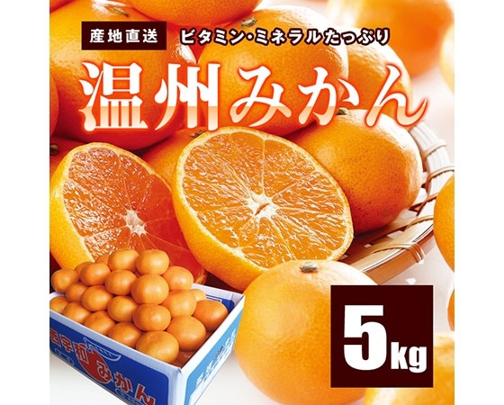 温州みかん 約5㎏