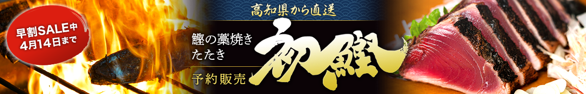 初鰹