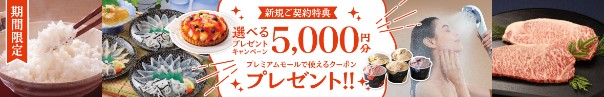 ブース施策LP用（カテゴリー肉・惣菜・加工品）