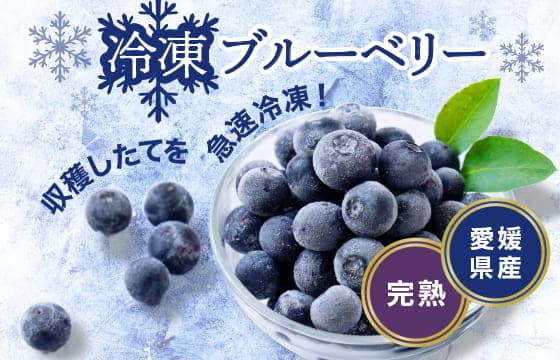 プレミアムな水・もの・暮らし |プレミアムモール