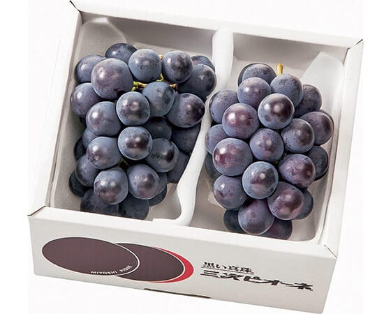 プレミアムな水・もの・暮らし 【ギフト】お中元 広島三次ピオーネ 約400g×2房 ※お届期間：7月中旬～8月上旬 プレミアムモール