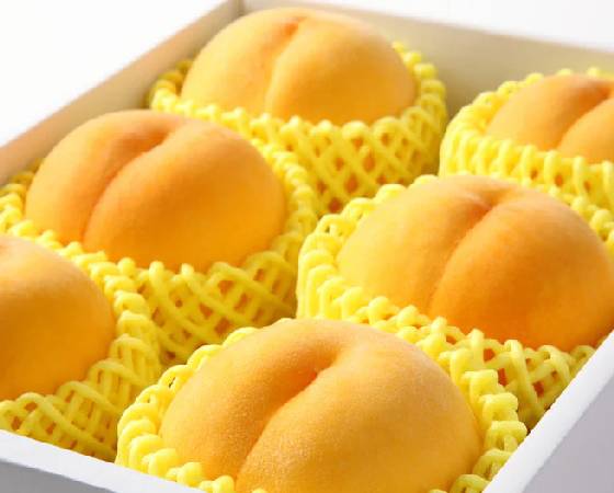 【予約】山形県産 硬い黄桃 秀品 約2kg　　※出荷時期：9月10日～10月上旬