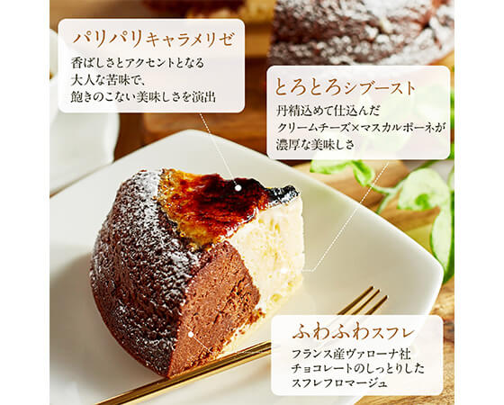 【focetta】天空のチーズケーキ ショコラ 15cm