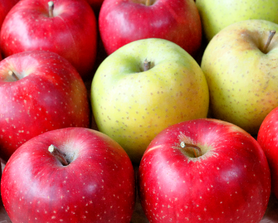 王林＆さんふじ　りんご食べ比べ　約5kg（合計18玉)　※出荷時期：12月初旬～3月上旬