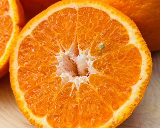 ポンカン 3kg【みかんのみっちゃん農園】