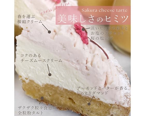 大人の和スイーツ さくらちーずたると 12cm