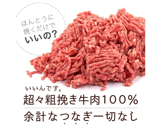 超肉感ハンバーグ そのまんま肉バーグ  1.08kg(180g×3個×2P)