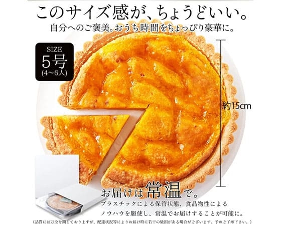 【ネコポス出荷】甘酸っぱいオレンジとあんずのタルトケーキ5号