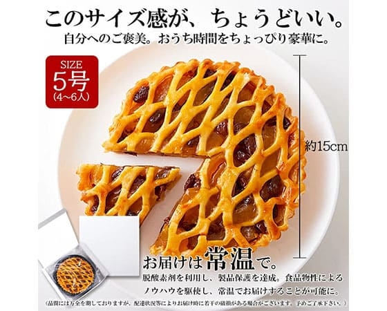 【ネコポス出荷】しっとりアップルレーズンパイ5号