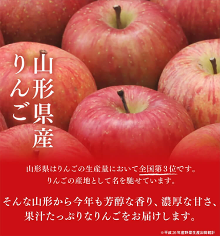 【予約】訳あり　ふじりんご　山形県産　約5kg(玉数指定なし)　※出荷時期：10月中旬～11月中旬