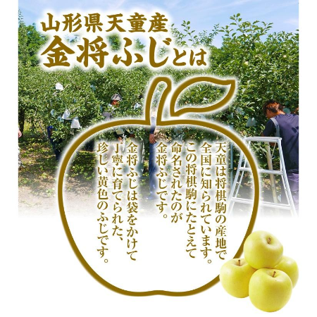 天童市産【ご家庭用】りんご(有袋ふじ)黄色　3kg(7～14玉)