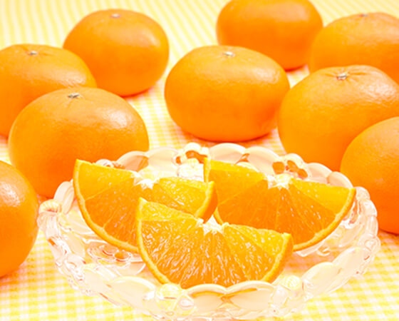 【予約】はまさき　1.8kg(8～12個)　※出荷時期：2月中旬～3月中旬