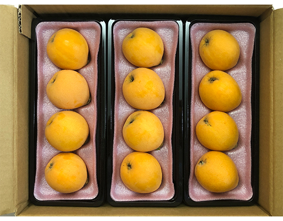 【予約】なつたより 700g(9～12玉)　出荷時期：5月中旬～5月下旬