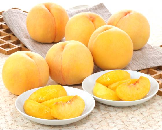 【予約】福島の黄桃　1.8kg(5～8個)　※出荷時期：8月上旬～下旬