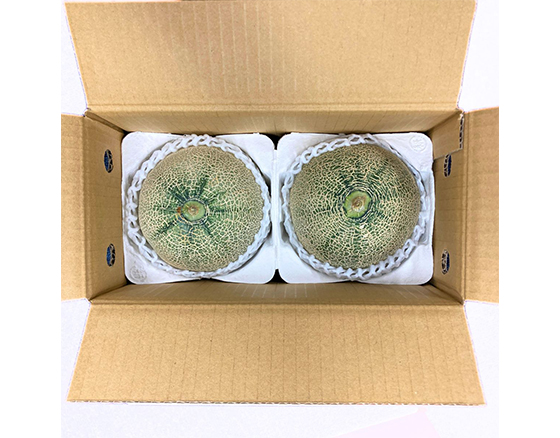 【予約】アンデスメロン 1.6kg(2個)　出荷時期：5月中旬～下旬