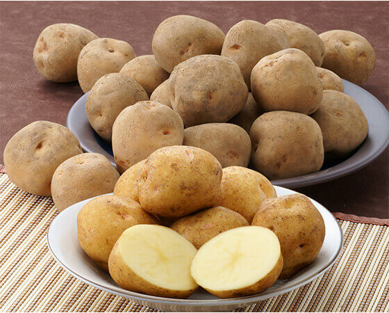 【予約】きたあかり　2kg　※出荷時期：10月中旬～10月下旬