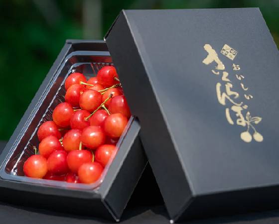 【予約】農林水産大臣賞受賞 山形県産 さくらんぼ 特秀品 Lサイズ以上 300g