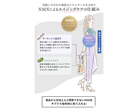 ＼ananカラダにいいもの大賞受賞／ 健123 NMNサプリ 12000mg