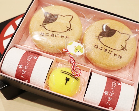 京都の半生菓子 上尾製菓のねこもにゃか 1箱