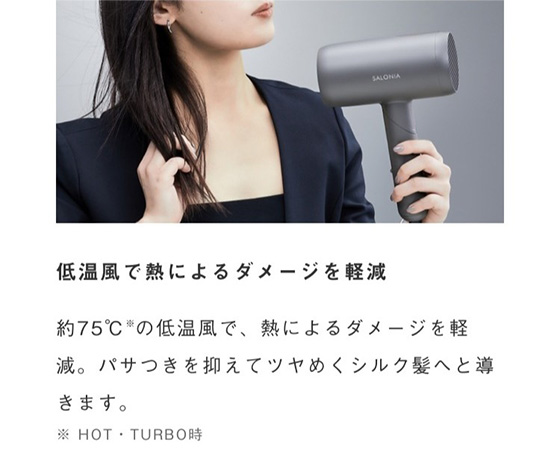 SALONIA サロニア スムースシャインドライヤー グレー SAL23209GR