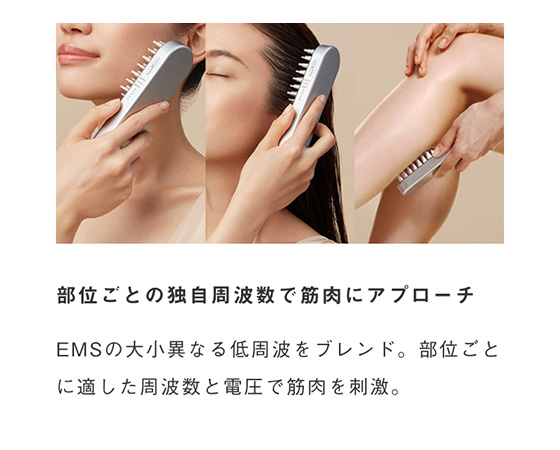 SALONIA サロニア EMSリフトブラシ