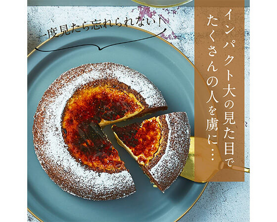 【focetta】天空のチーズケーキ ショコラ 15cm