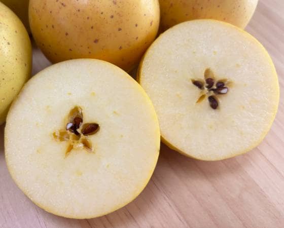 サンはるか　りんご・家庭用（5kg・30玉)【いっちゃん林檎農園】