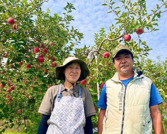 コスモふじ　りんご・家庭用（3kg・7～12玉)【いっちゃん林檎農園】
