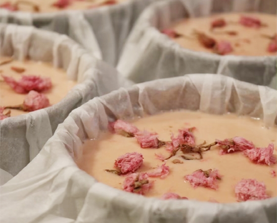 【春限定】さくらのバスクチーズケーキ