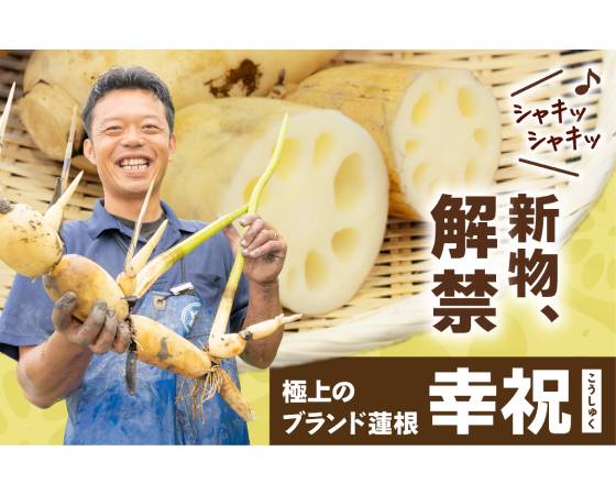 新れんこん『幸祝』ギフトセット