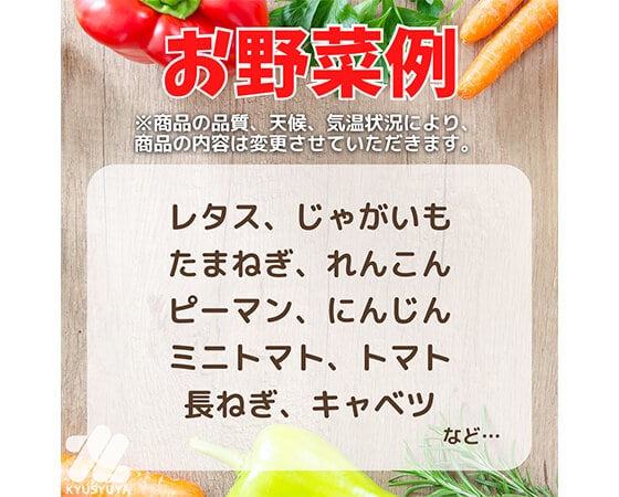 旬のおまかせ野菜10種セット【定期便】