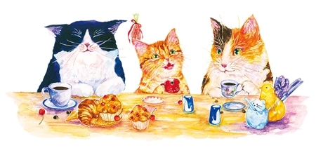 猫珈 きんちゃくカフェインレスコーヒー＆赤米チョコセット