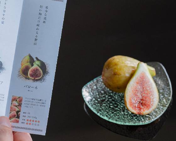 【予約】THE FIG　～皮ごと食べれるいちじく～　300g×4パック　約1.2kg　※出荷時期：8月～
