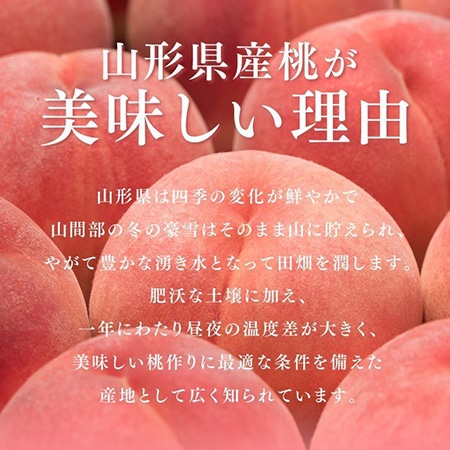 【予約】白桃　品種おまかせ 秀　3kg　7～12玉　※出荷時期：7月下旬～8月下旬
