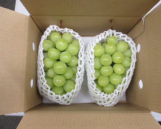【予約】シャインマスカット　1kg（2～3房）　※出荷時期：9月上旬～中旬