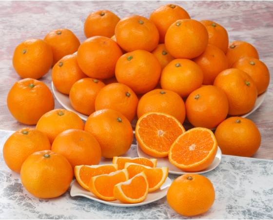 【予約】有田小みかん 3kg　※出荷時期：11月中旬～12月中旬
